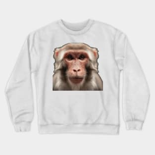 Serious monkey Crewneck Sweatshirt